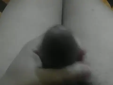 wixssam online show from January 3, 8:43 am