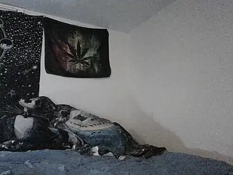 webetokinmo420 online show from November 29, 10:29 am