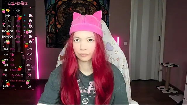 Snapshot of Project_hisoka chatting on January 17, 2:29 am Project hisoka online show from January 17, 2:29 am