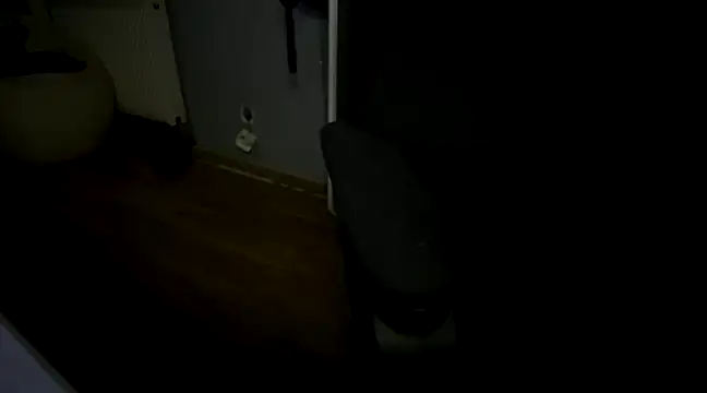 Snapshot of needride_virgin chatting on January 9, 6:17 am needride virgin online show from January 9, 6:17 am