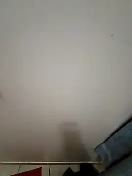 Reinacatchile online show from December 17, 1:50 am