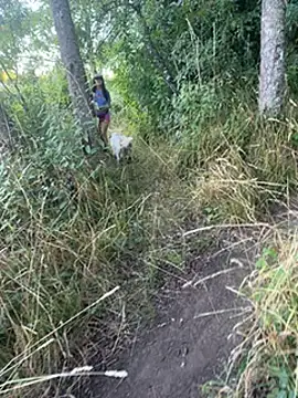 Reinacatchile online show from January 31, 11:24 pm