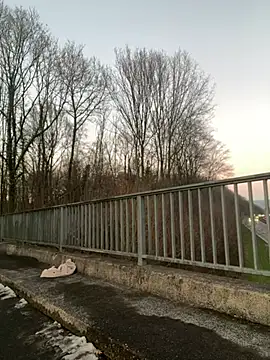 NickyGold Official online show from January 18, 4:10 pm