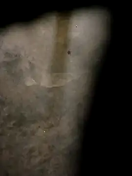 Snapshot of Yasha_14C_Creator chatting on October 31, 4:57 am Yasha 14C Creator online show from October 31, 4:57 am