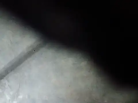 Yasha 14C Creator online show from July 23, 4:43 am