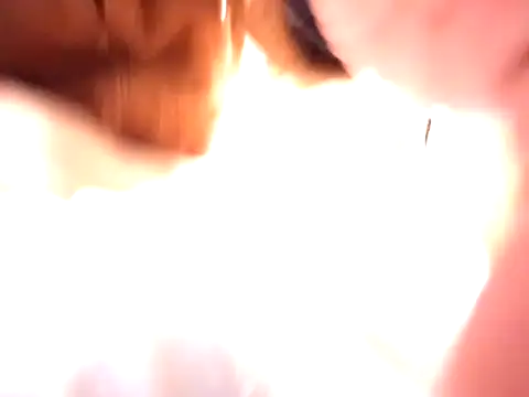 Snapshot of pnp0Japan chatting on December 31, 3:09 pm pnp0Japan online show from December 31, 3:09 pm