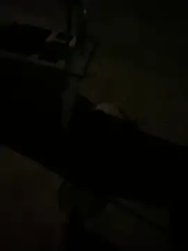 nowex18 online show from March 11, 6:41 am