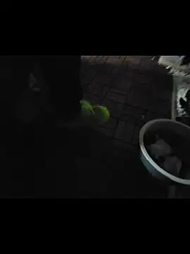 0815lukas2024 online show from November 16, 11:54 pm