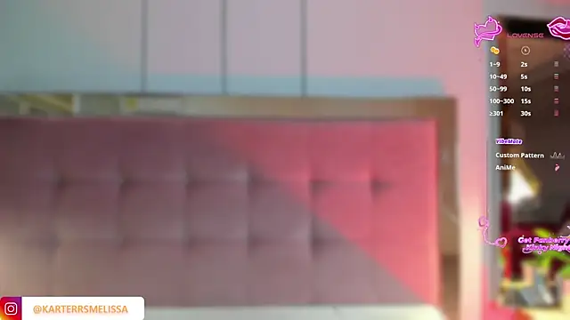 Snapshot of MelissaKarterrs chatting on February 19, 12:01 pm MelissaKarterrs online show from February 19, 12:01 pm