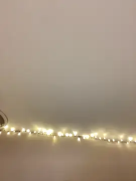 Snapshot of princesslola666 chatting on January 26, 12:37 am princesslola666 online show from January 26, 12:37 am