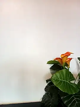 JemaimaPrincess online show from March 21, 11:22 am