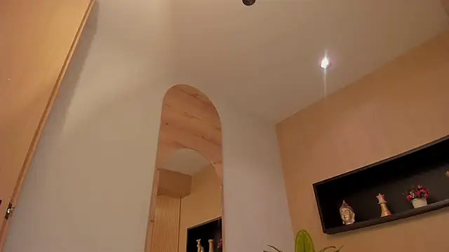 IrisBaker online show from January 21, 2:43 am