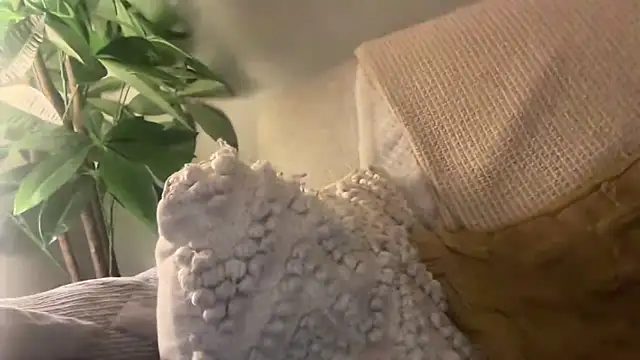 toptugger online show from October 17, 7:27 pm