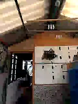 Snapshot of rebekka_simpson chatting on March 9, 8:10 pm rebekka simpson online show from March 9, 8:10 pm