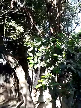 Hot-rubina online show from March 5, 3:18 am