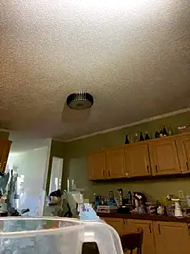 velvetta  online show from December 17, 4:51 am