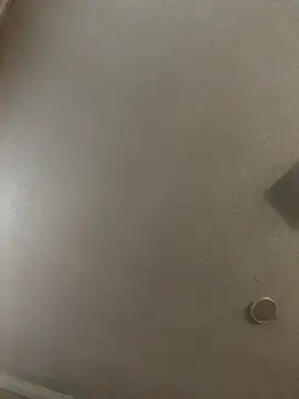 velvetta  online show from December 18, 1:06 pm