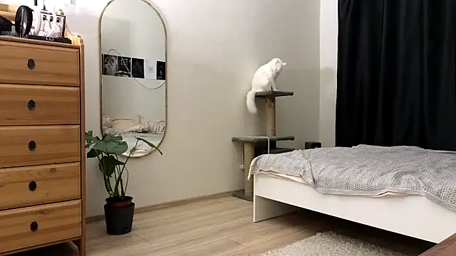 vse horosho online show from November 13, 5:23 pm