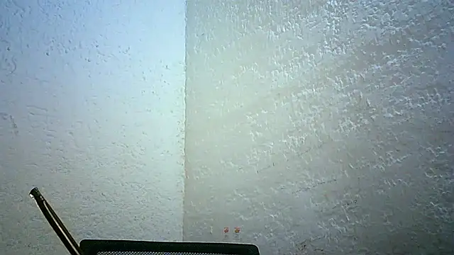 Snapshot of Bellabeltrann chatting on November 30, 11:42 pm Bellabeltrann online show from November 30, 11:42 pm