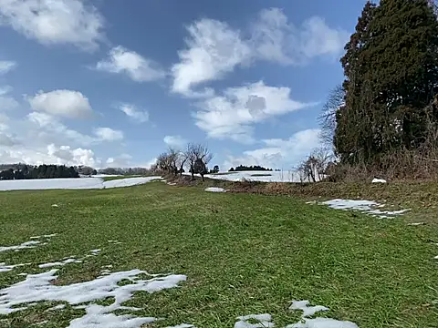 ge3noxxx online show from March 6, 12:43 am