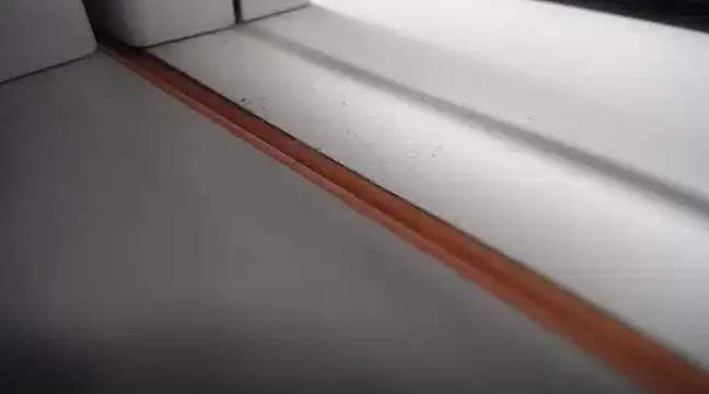 Lovensetest online show from February 24, 9:21 am