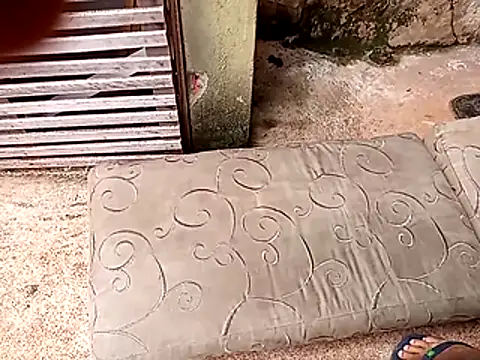 wel9238 online show from February 25, 4:38 pm