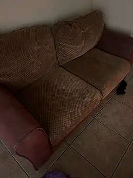 Snapshot of TSPornStarDancer chatting on March 9, 4:55 pm TSPornStarDancer online show from March 9, 4:55 pm