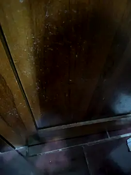 Snapshot of econsa chatting on October 31, 4:46 am econsa online show from October 31, 4:46 am