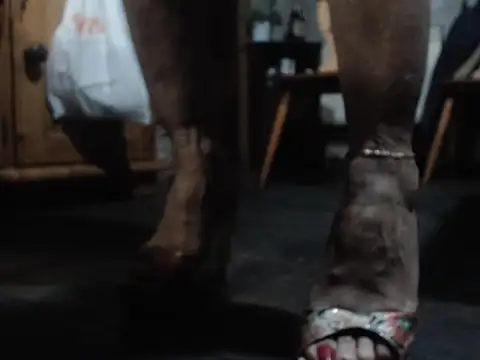 Snapshot of eva2023sexy chatting on February 5, 9:08 pm eva2023sexy online show from February 5, 9:08 pm