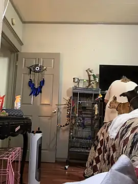 lezbean24 online show from March 11, 5:41 pm