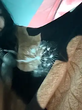 Angel Anamika online show from November 26, 12:22 am