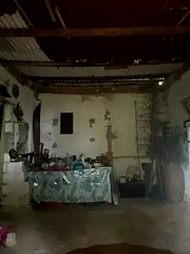 amy gata online show from November 15, 10:12 am