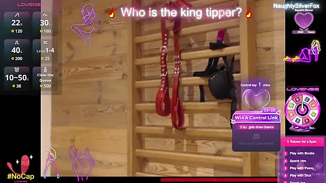 Snapshot of NaughtySilverFox chatting on February 10, 2:16 pm NaughtySilverFox online show from February 10, 2:16 pm