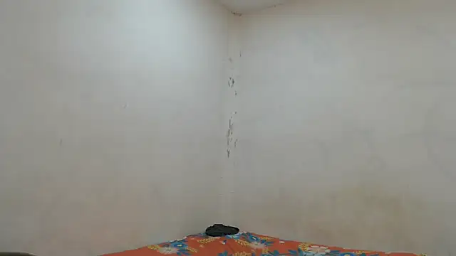 danielitopapuu online show from November 7, 4:23 am