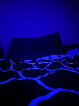 McdyllanXX online show from January 11, 1:06 am