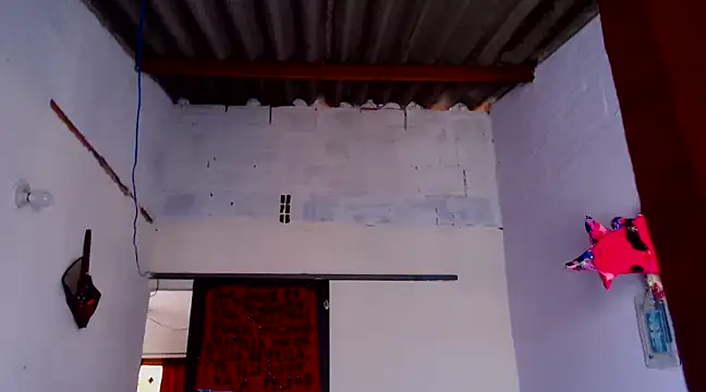 Zafiro subversiva online show from February 3, 2:13 pm