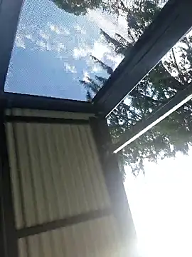 Off the Lesh online show from March 31, 4:24 am