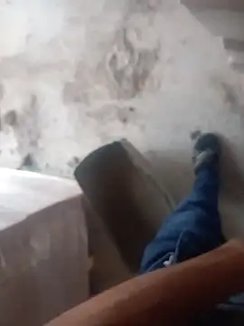 Kurtsikicixh online show from November 5, 2:50 pm