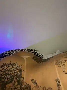 TigrezaSC online show from February 6, 7:56 am