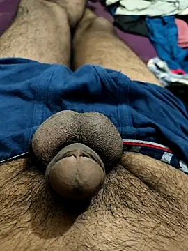 PAWARXX 0 online show from October 14, 6:20 pm