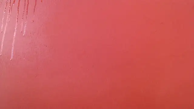 Freyja eter online show from October 17, 2:19 pm