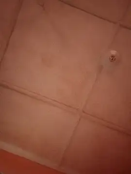 bebsexy online show from December 14, 12:54 pm