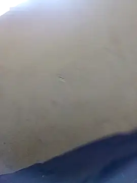 Nasty queen20 online show from February 14, 11:42 am