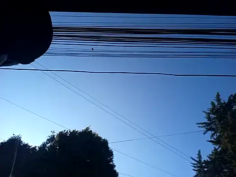 Snapshot of weedmanhot28 chatting on January 30, 12:48 pm weedmanhot28 online show from January 30, 12:48 pm