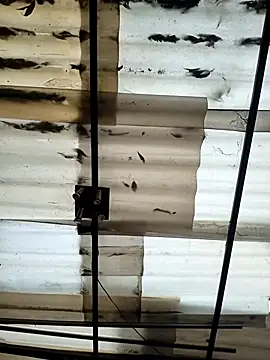 Snapshot of weedmanhot28 chatting on September 21, 12:07 pm weedmanhot28 online show from September 21, 12:07 pm