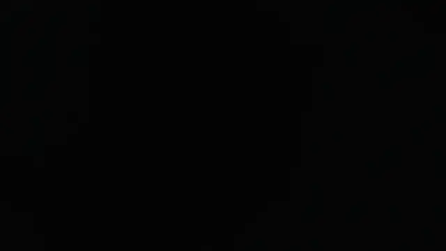 Liaroberts1 online show from January 24, 12:10 pm