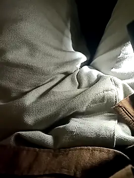 Snapshot of bangaloresexyguy chatting on January 31, 10:30 pm bangaloresexyguy online show from January 31, 10:30 pm