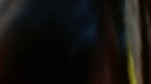 Snapshot of Melikasweetz chatting on December 17, 8:32 pm Melikasweetz online show from December 17, 8:32 pm