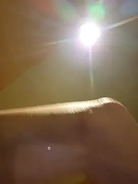 Snapshot of BigDDave6979 chatting on March 6, 1:37 am BigDDave6979 online show from March 6, 1:37 am