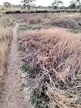 anjutandan499 online show from April 21, 12:22 pm